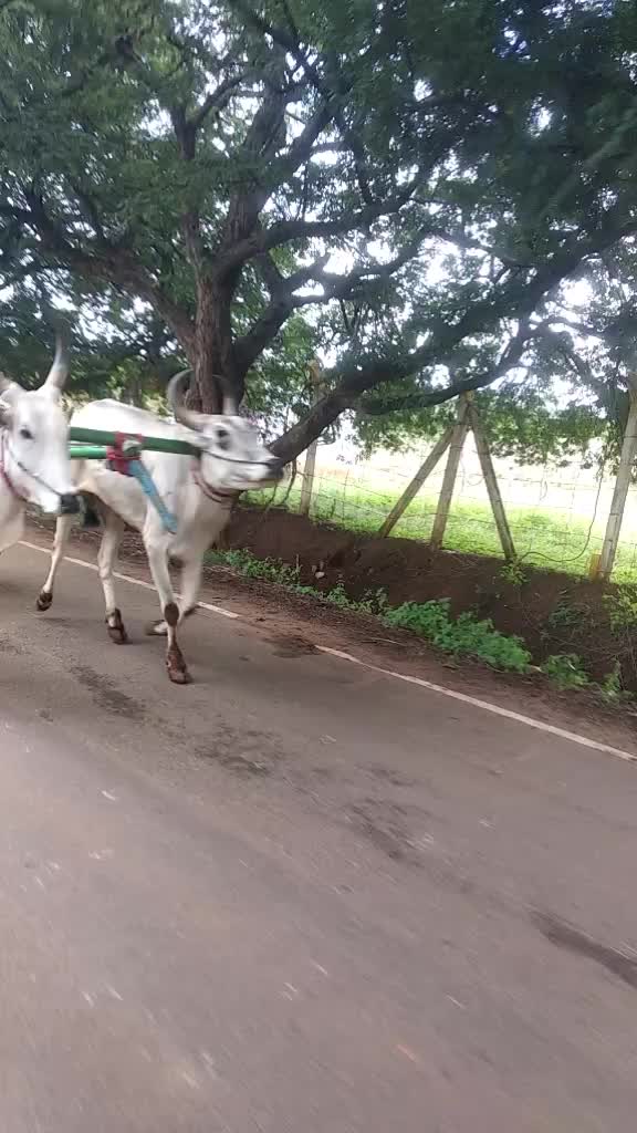 @தேனியின் நண்பன்