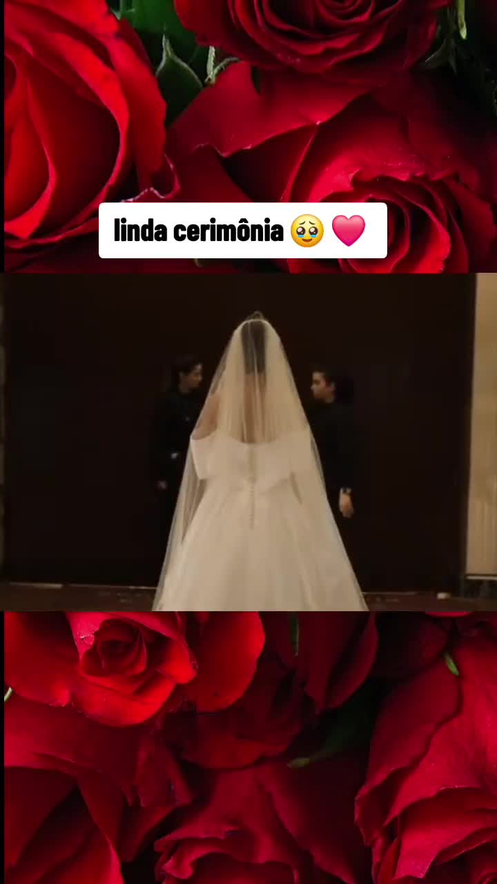 @Renata Araújo