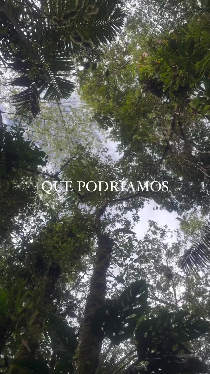 @Fundaci&oacute;n Selva Sonrisa