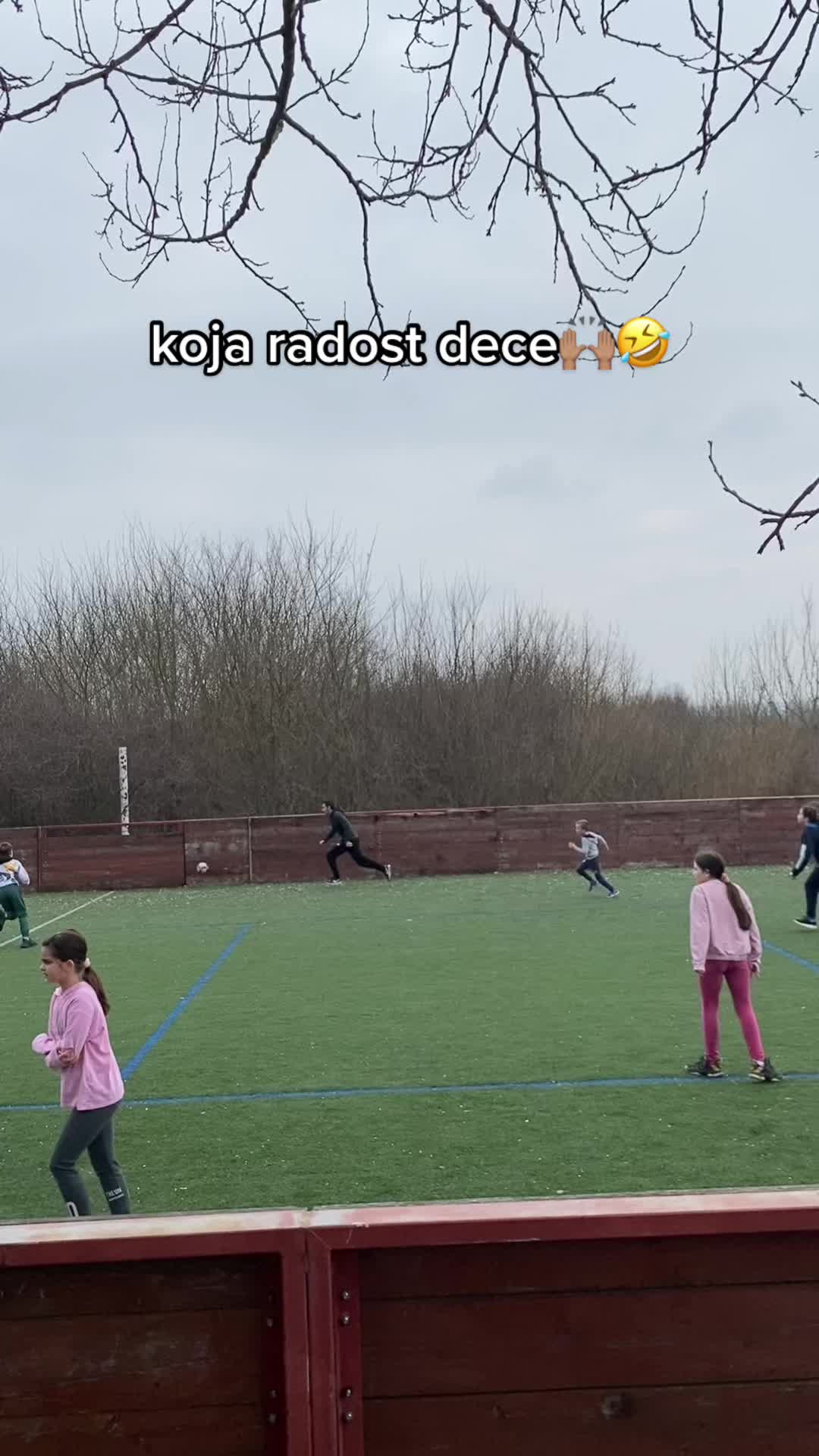 @Luka Trajković🔮