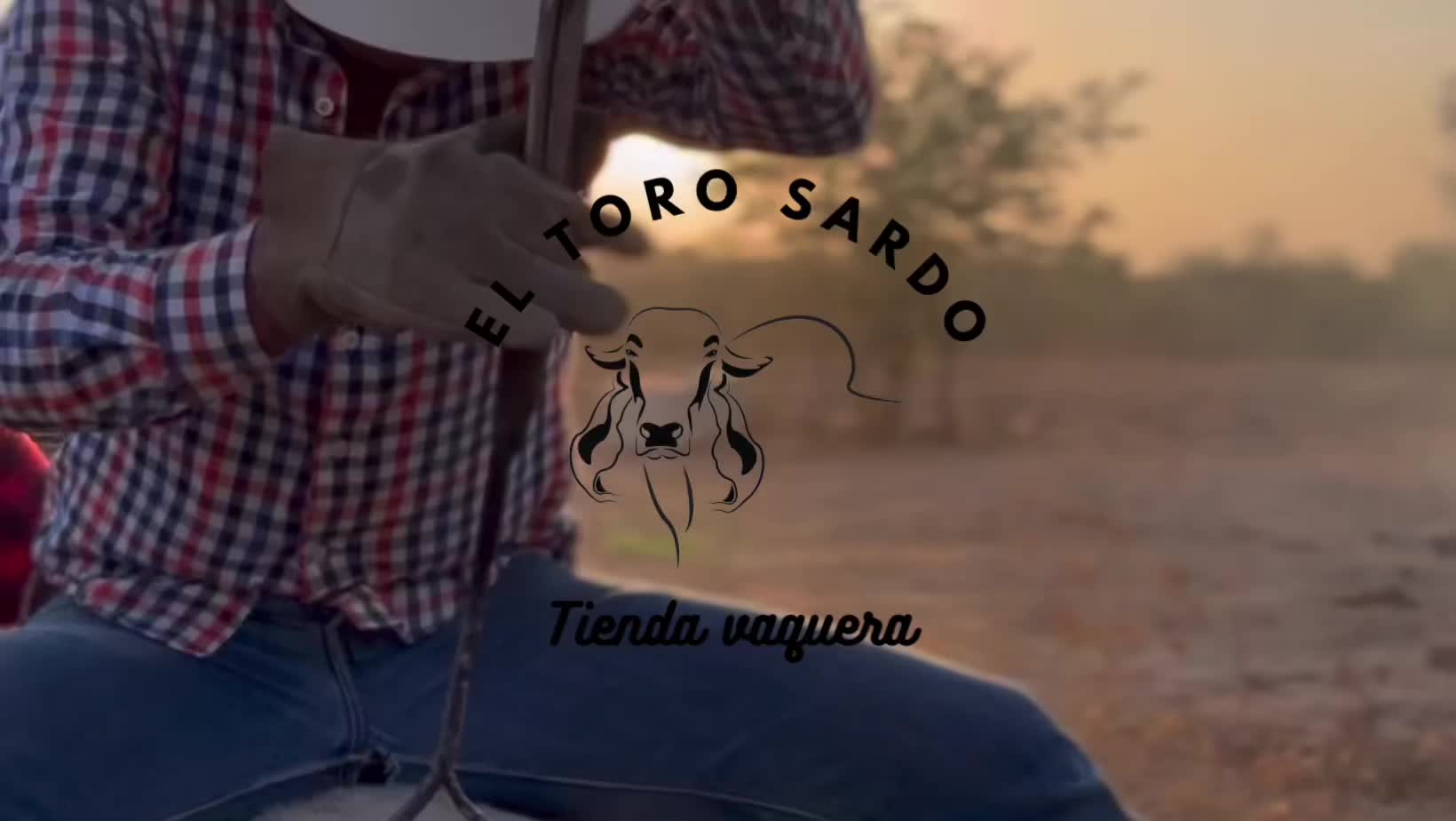 @El Toro Sardo