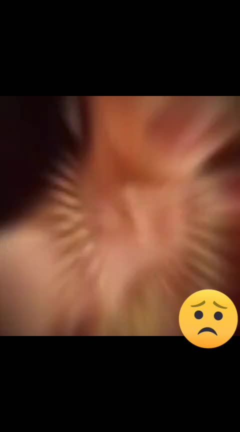 @Neha Bhati