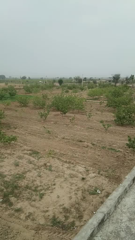 @Ram Lakhan Meena