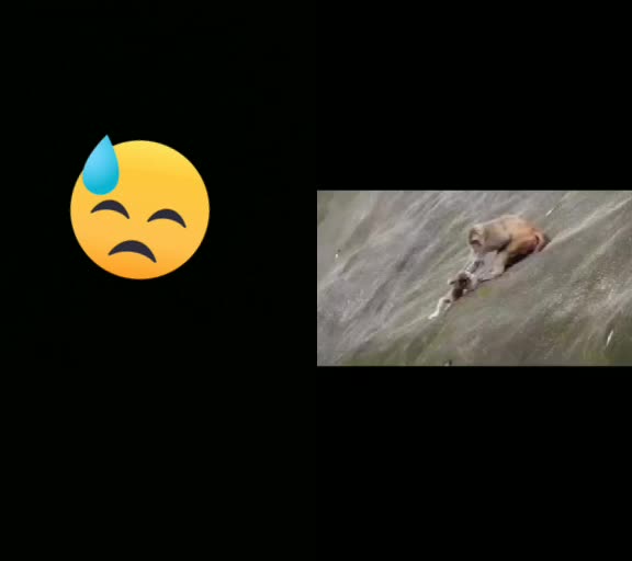 @വൈഗ