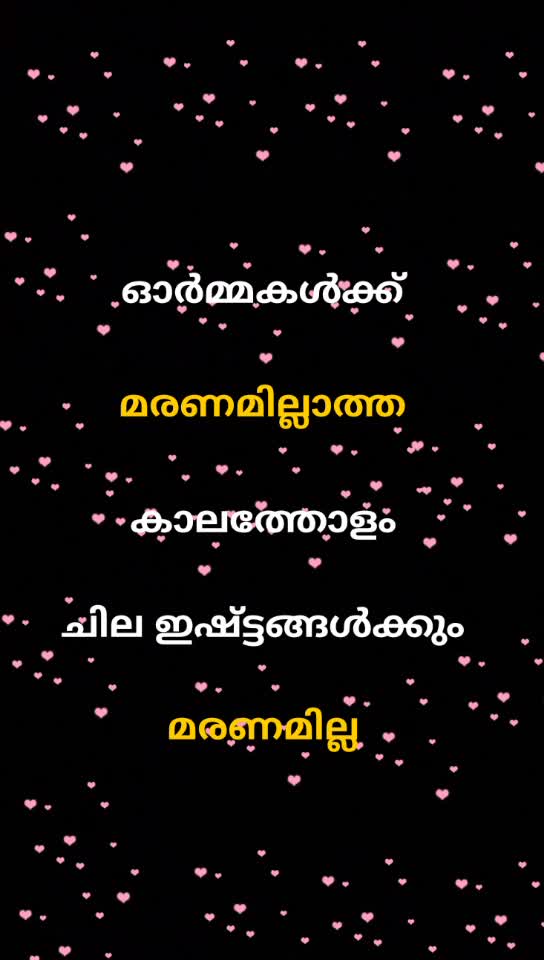 @💓ഒരു പാവം ഡ്രൈവർ 💓