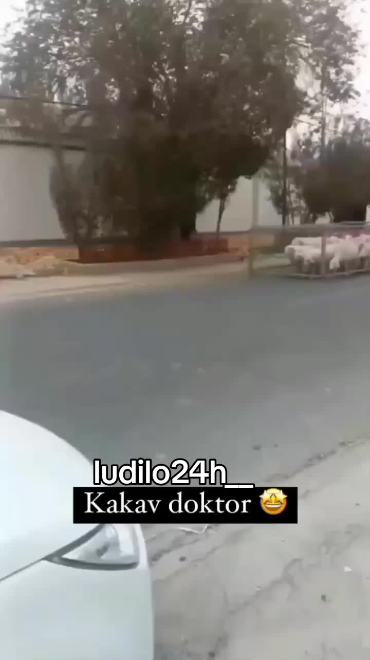 @LUDILO 24 H