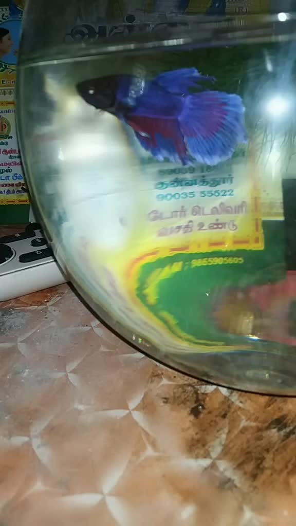 @Saravanan Saravanan