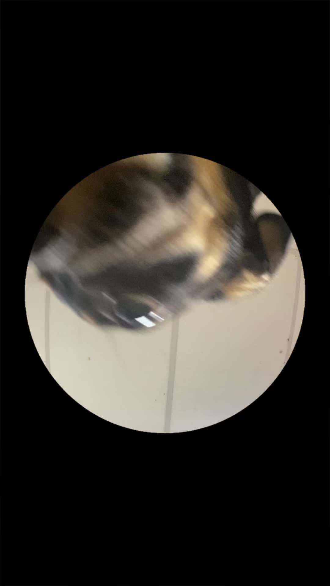 @JuanDaaaaaa26
