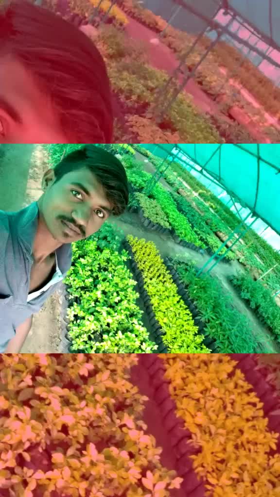 @Ganapati Mohan