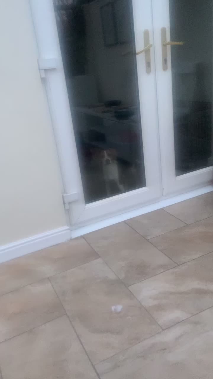 @Lync the Pocket Beagle ๐ถ