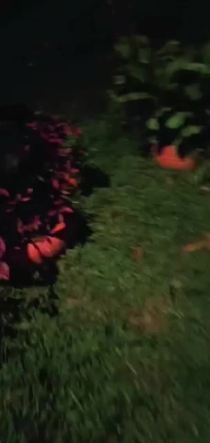 @Señor. OjosPequeños 🥴🤍