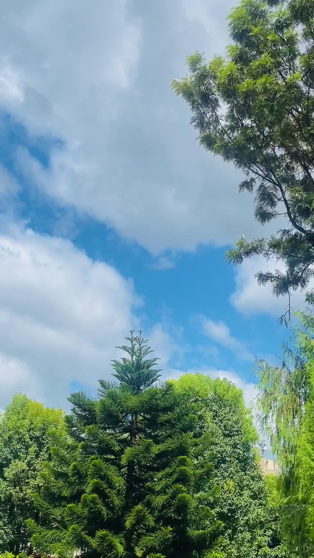 @NepalVid