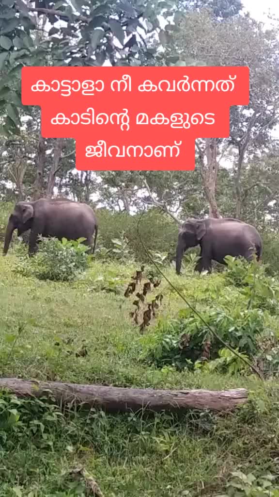 @sunil
