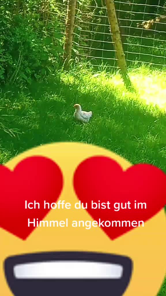 @mia_rssss