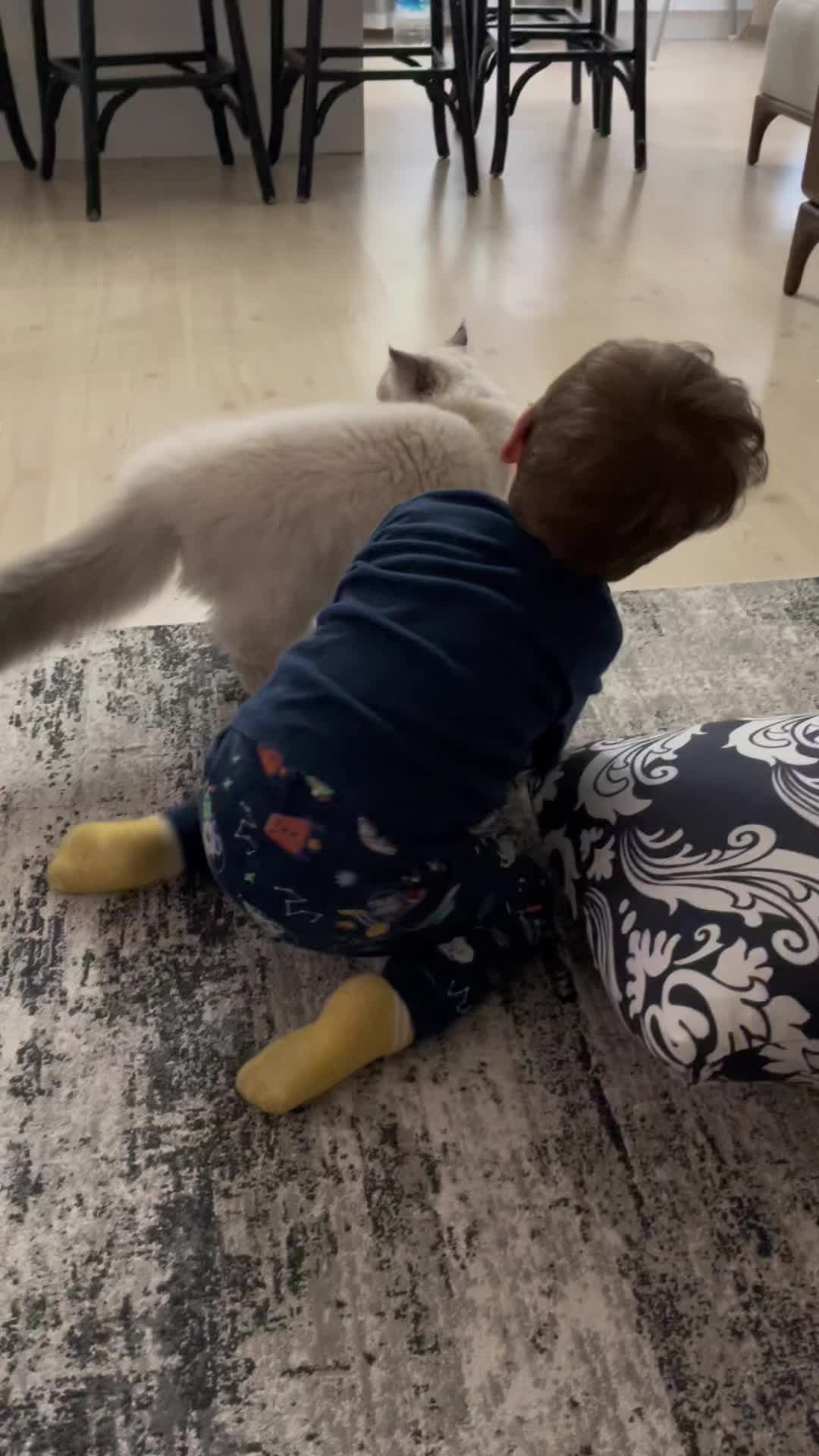 @&Ouml;zge Akca