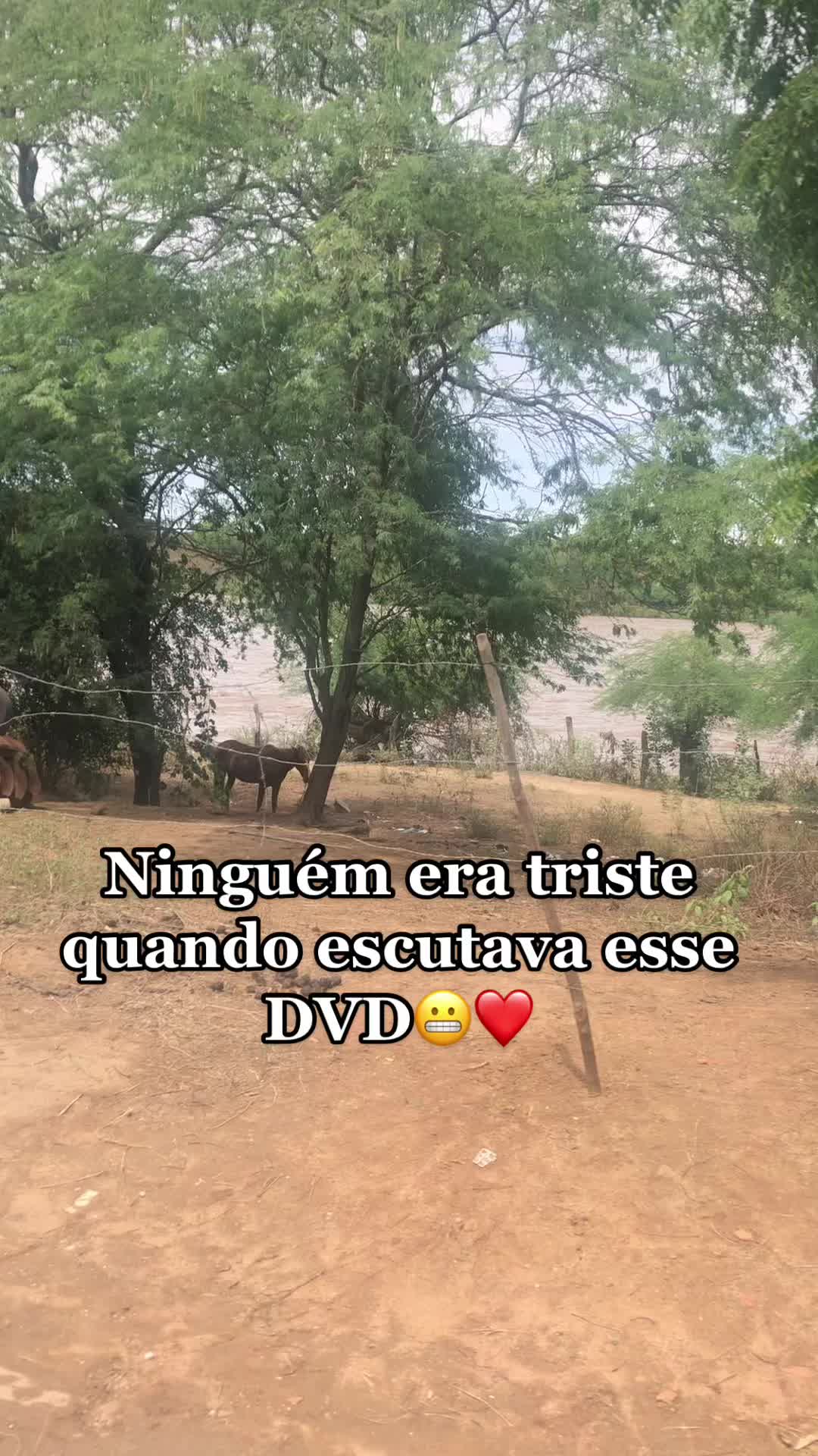 @Adriely Teresa🤍