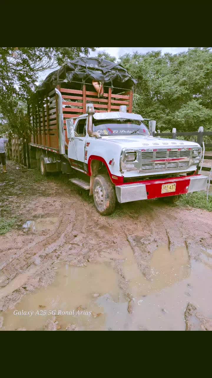 @Ronalarias01