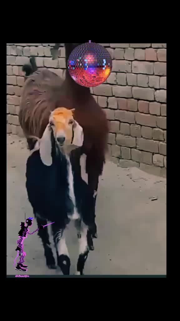 @Caterine García
