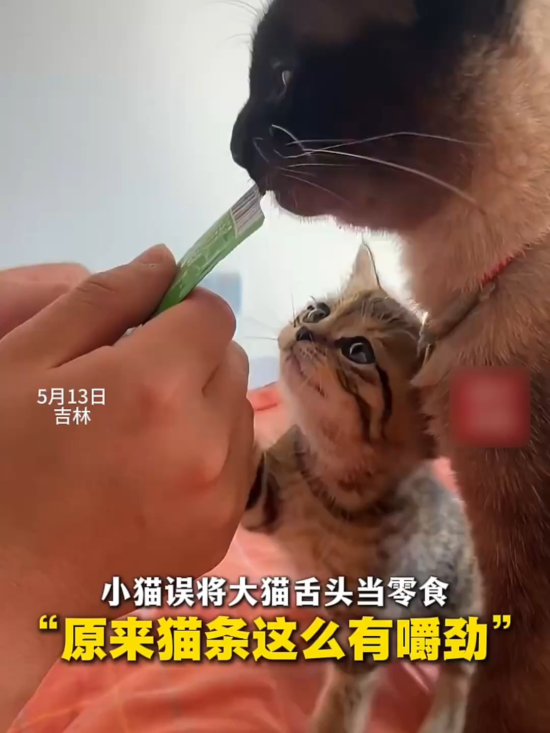 @闽南风～