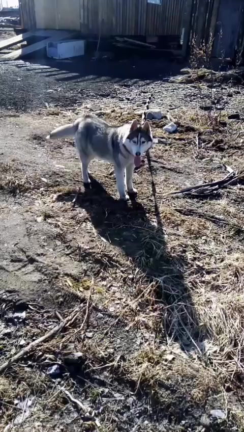 @Анна Шеина