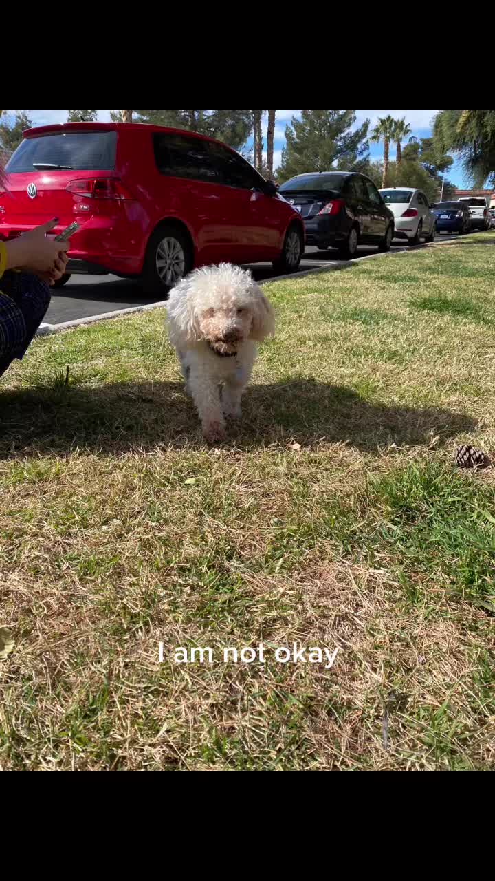 @steph