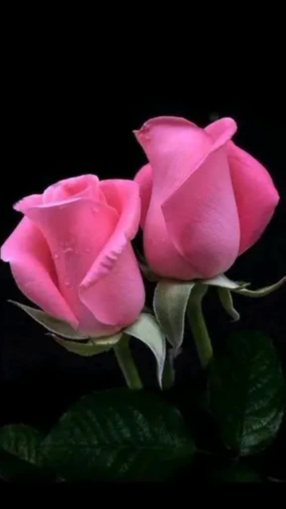 @user303913468246