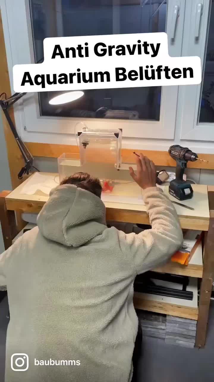 @baubumms
