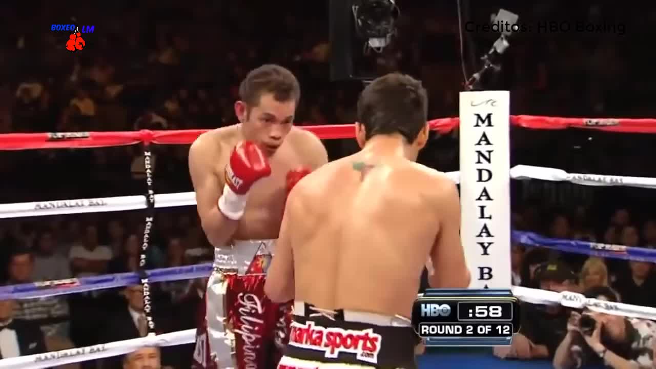 @boxeolmpasionygloria