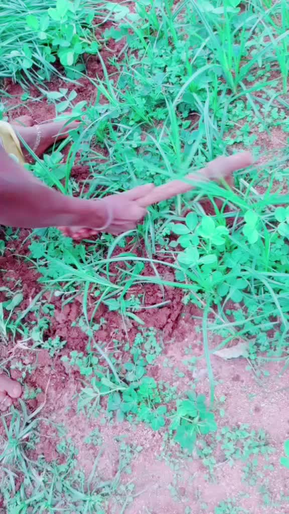 @jayakumar Naidu