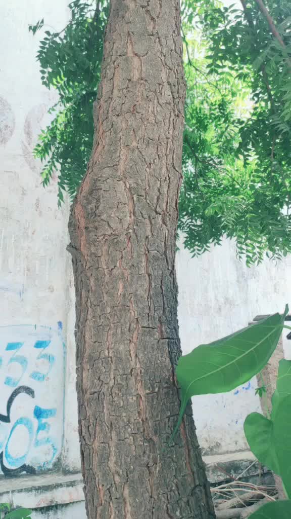 @bandari kanakaraju