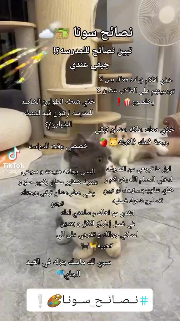 @الـــمــنــفــرده ســونـا🎨❕