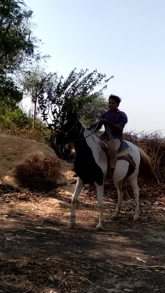 @Prince Talaviya