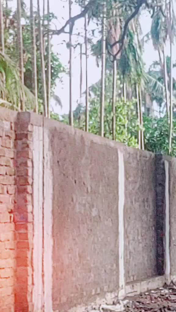 @Sunil Oraon