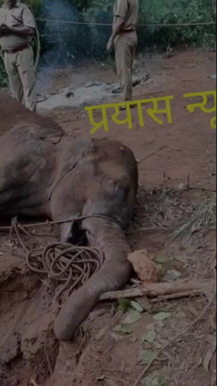 @Nishant Aryan