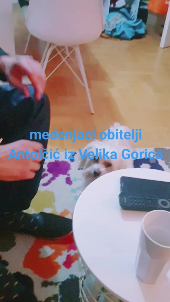@Jasna Šmaguc