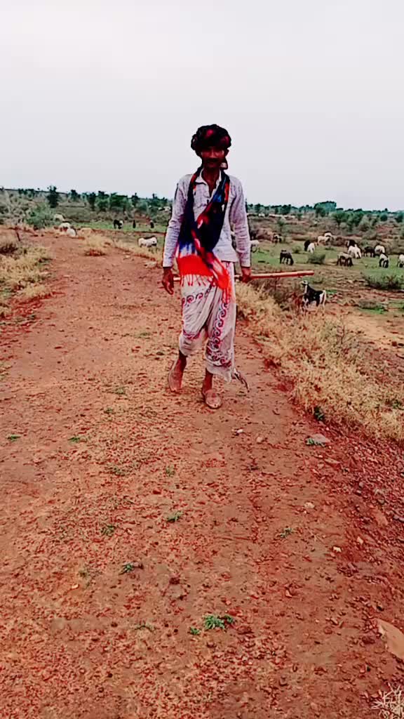 @Rajjadi ___king
