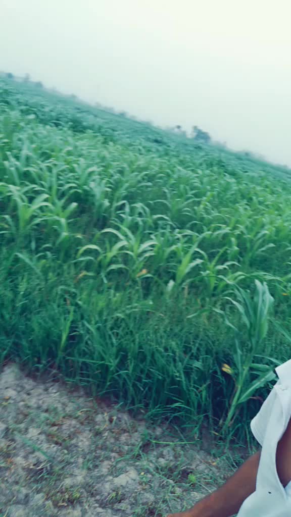 @Samar Tyagi