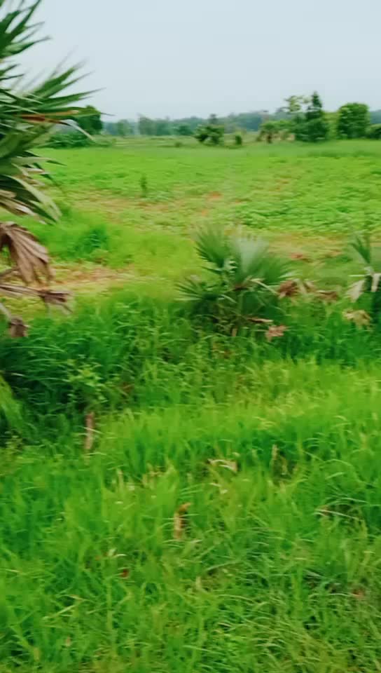 @Log_Out_Rakesh_99