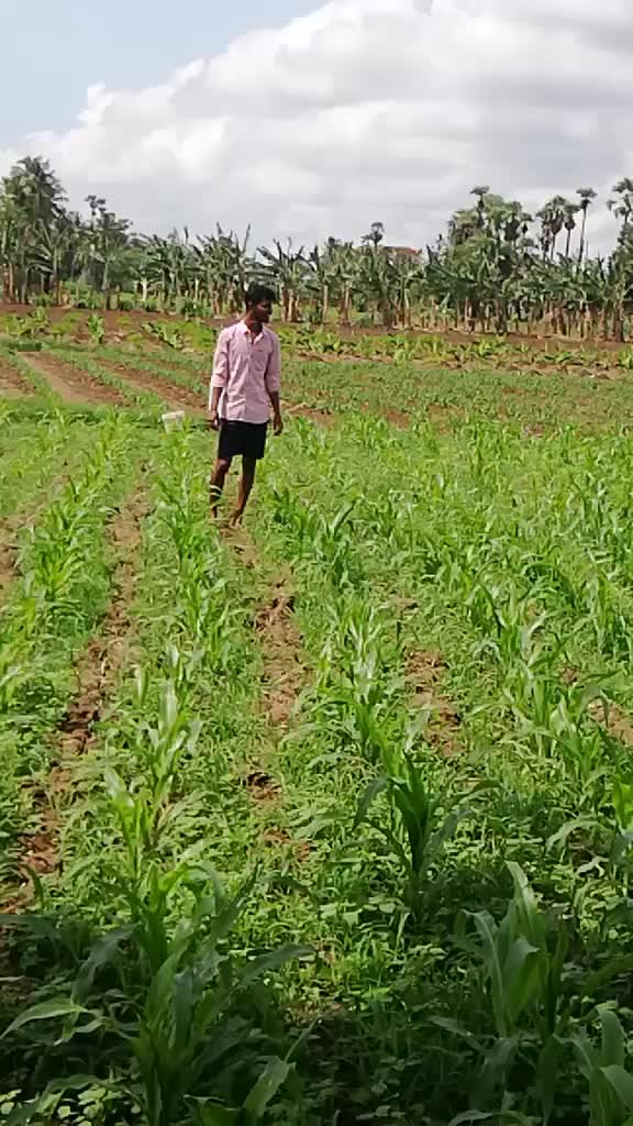 @Gopi Katakam