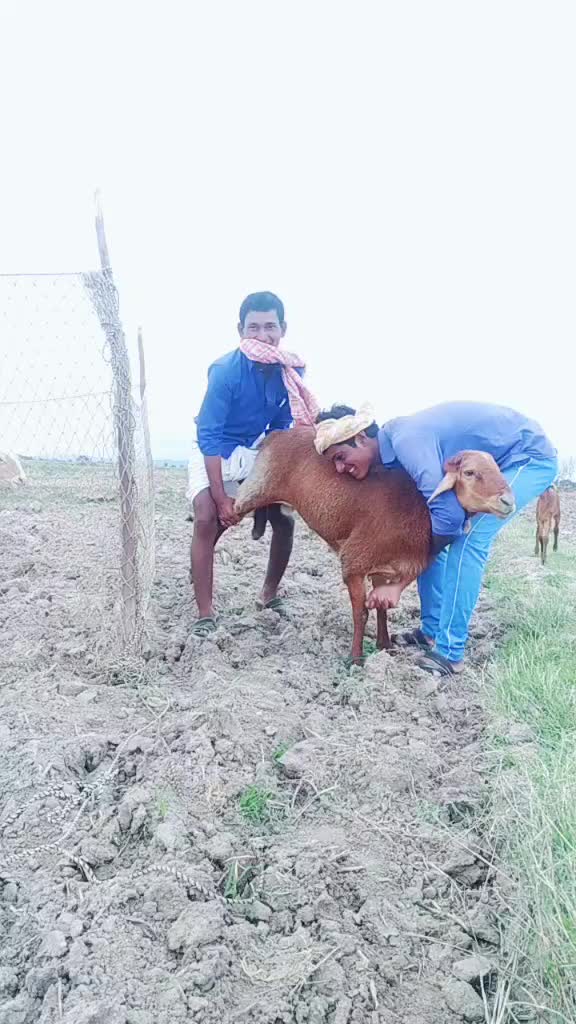 @Beerappa Yadav