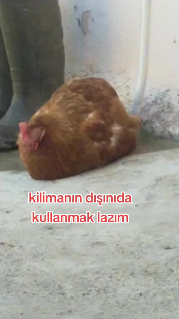 @Eğlence zamanı 😜