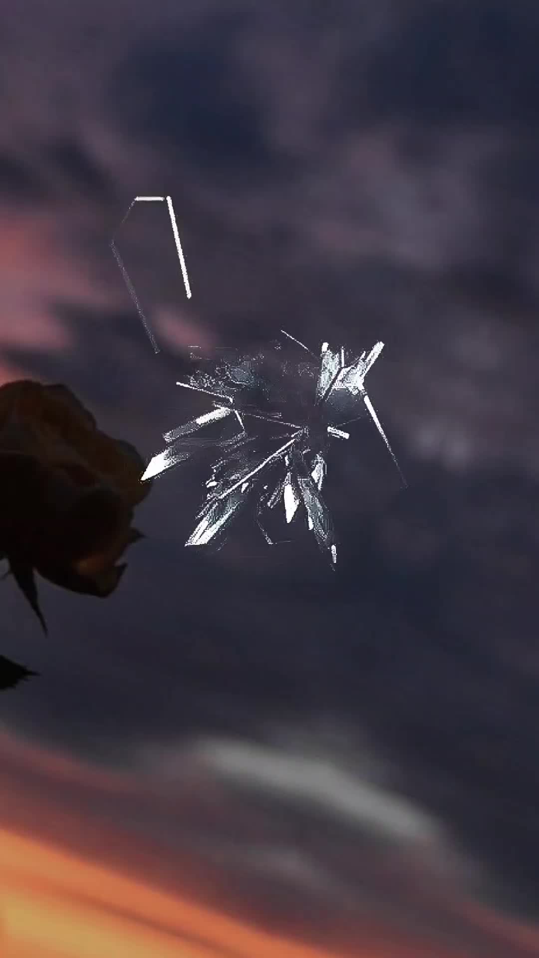 @🦋𝓚𝓮𝓵𝓮𝓫𝓮𝓴𝓶𝓲𝓼𝓪𝓵𝓲