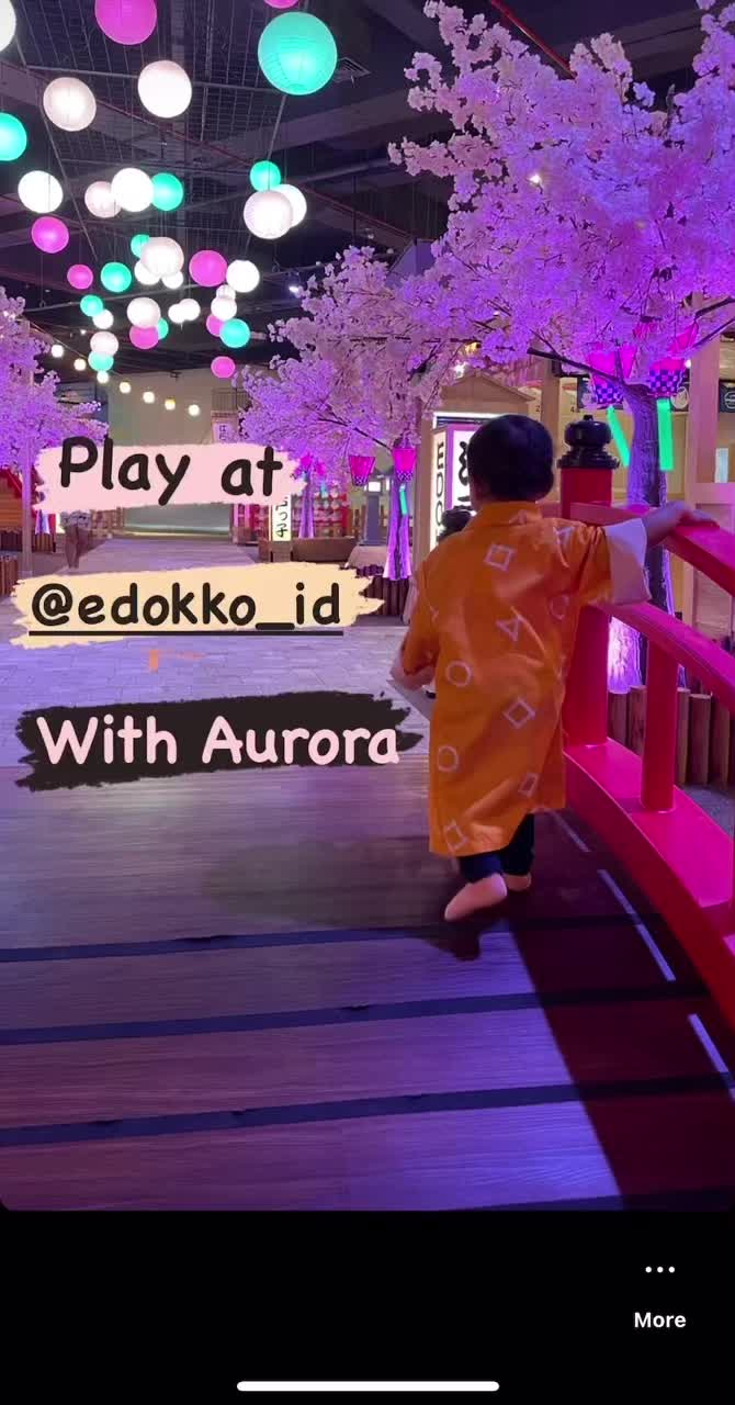 @Aurora Hub