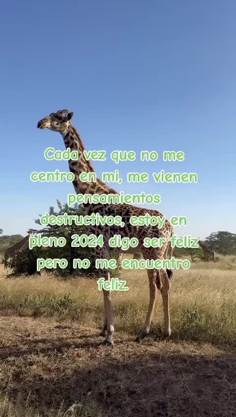 @putosescritos