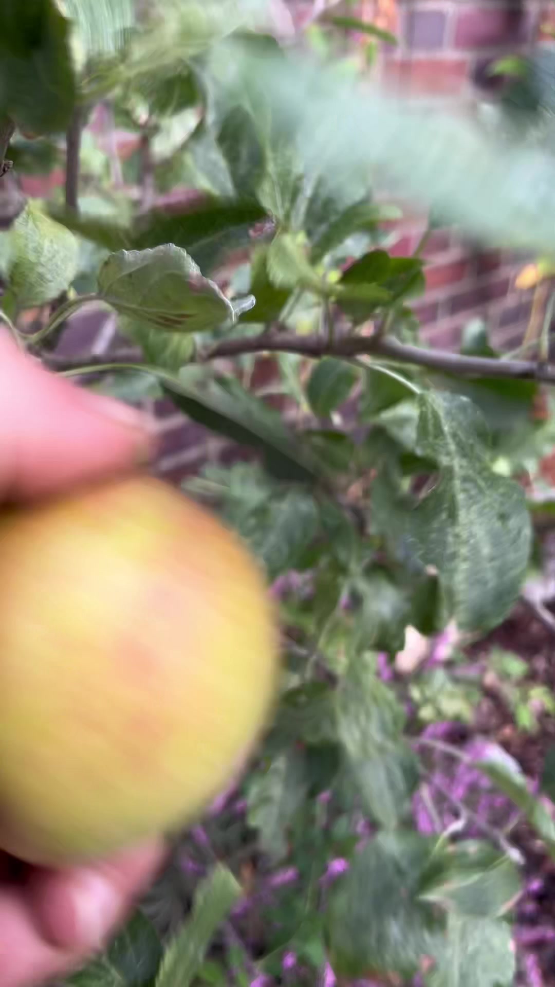 @ali.tahmaz