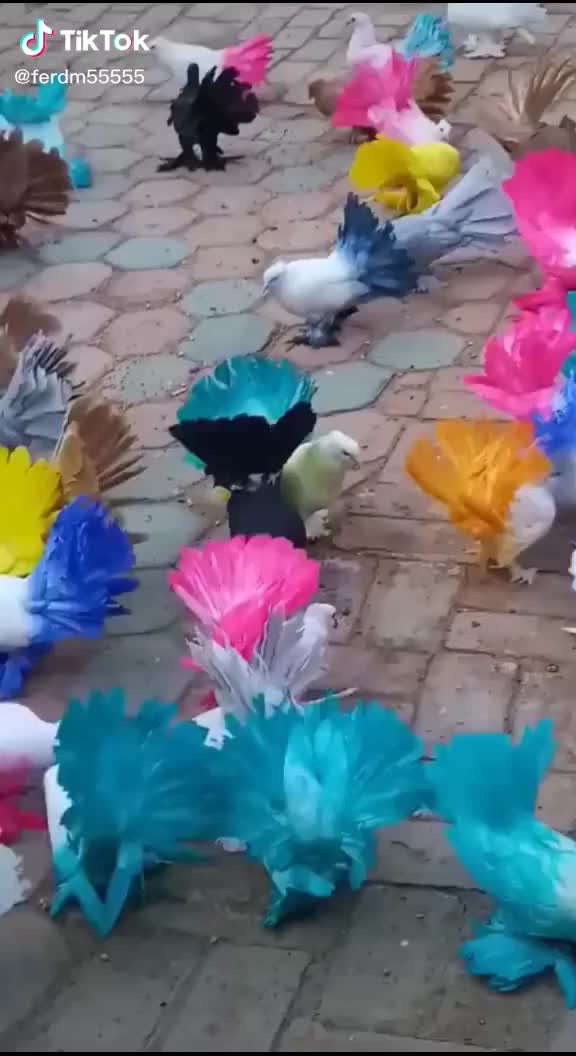 @Chauhan Mansukh