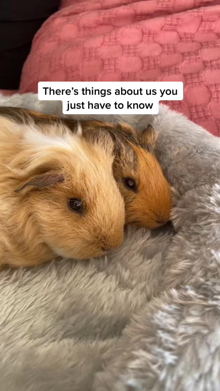 @𝔏𝔞𝔯𝔞 🥰
