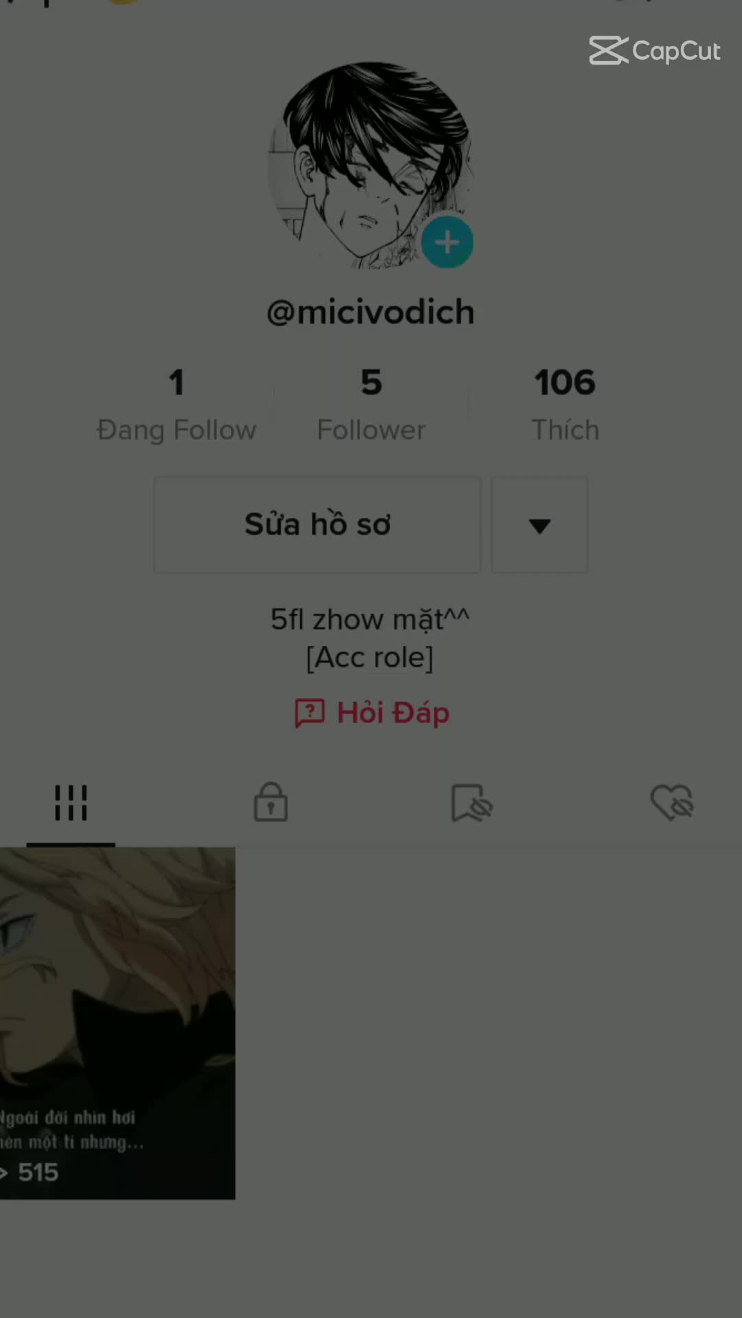 @Salo Mici Acc Role