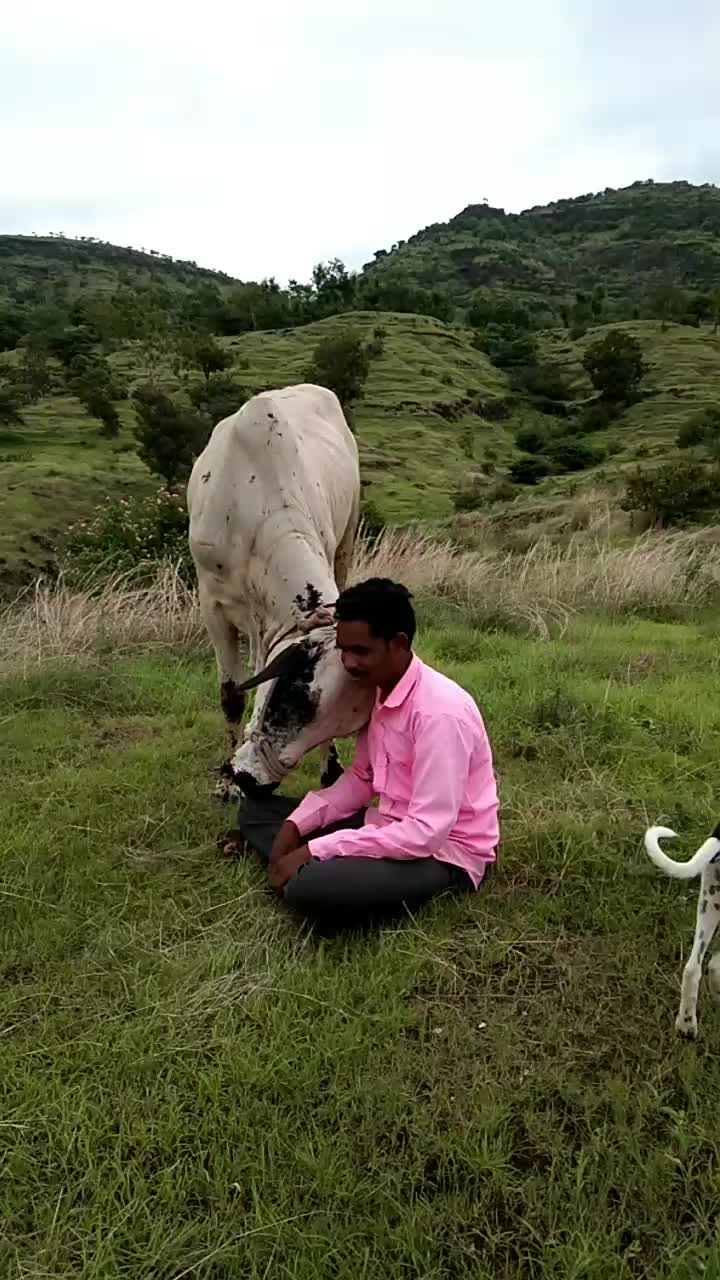 @mauli1991