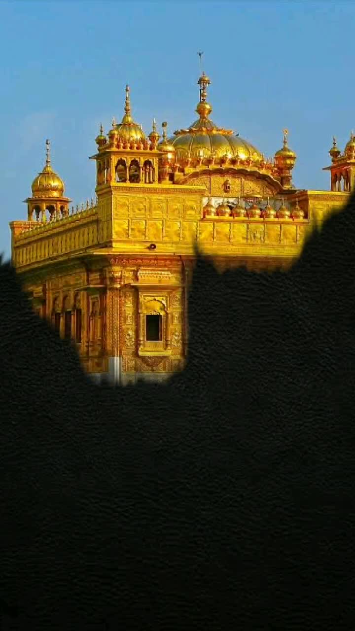 @shikhaahuja999